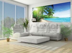 Vliesové fototapety, rozměr 250 cm x 104 cm, palmy na pláži, IMPOL TRADE 736VEP