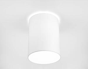 LED přisazené osvětlení CAMERON, 1xE27, 25W, 30cm, kulaté, bílé