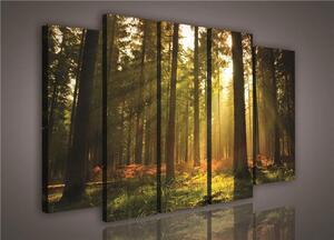 Obraz na plátně les s východem slunce 204S12, rozměr 150 x 100 cm, IMPOL TRADE