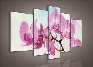 Obraz na plátně orchidej 124S4A, rozměr 170 x 100 cm, IMPOL TRADE