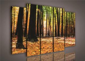 Obraz na plátně podzimní les 941S12, rozměr 150 x 100 cm, IMPOL TRADE