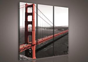 Obraz na plátně Golden Gate Bridge 103S6, rozměr 90 x 80 cm, IMPOL TRADE