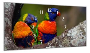 Nástěnné hodiny 30x60cm barevný papoušek pár - plexi