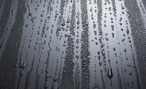 Fototapety, rozměr 368 cm x 254 cm, kapky deště, IMPOL TRADE 2966 P8