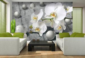 Fototapety, rozměr 368 cm x 254 cm, orchidej s perlami, IMPOL TRADE 3013 P8