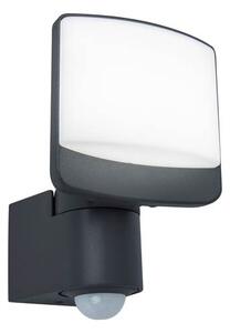 Venkovní nástěnné LED osvětlení s čidlem SUNSHINE, 12W, denní bílá, IP44