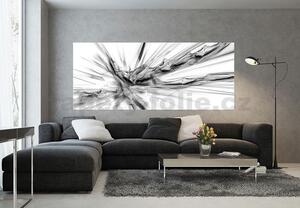 Vliesové fototapety, rozměr 250 cm x 104 cm, abstrakce černo-bílá, IMPOL TRADE 3540 VEP