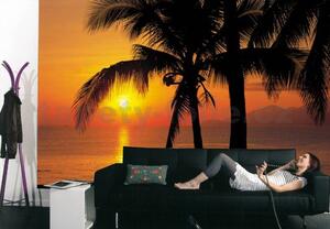 Fototapeta Palmy Beach Sunrise, rozměr 368 cm x 254 cm, fototapety Komar 8-255