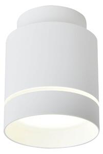 LED stropní moderní osvětlení EMILIA-ROMAGNA, 12W, denní bílá, 10,5x7,9cm, kulaté, bílé