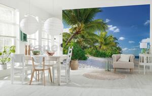 Fototapeta Reunion, rozměr 368 cm x 254 cm, fototapety palmy na pláži Komar 8-992