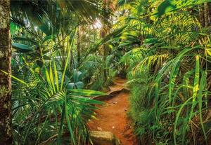 Fototapeta Jungle Trail, rozměr 368 cm x 254 cm, fototapety Komar 8-989
