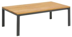 ZAHRADNÍ STOLEK, dřevo, kov, 120/65/40 cm Ambia Garden - Online Only zahradní nábytek, Online Only