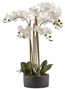 Orchidea White Umělá květina 49 x 74 cm