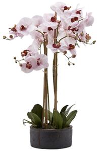 Orchidea Fuchsia Umělá květina 49 x 74 cm
