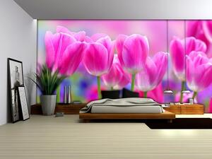 Vliesové fototapety, rozměr 312 cm x 219 cm, tulipány, IMPOL TRADE 273 VE XXL