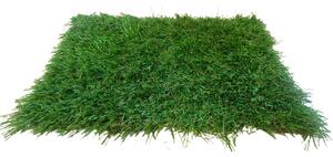Vesna | Koberec Umělá tráva DUBLIN, šíře 400 cm