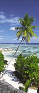 Vliesové fototapety, rozměr 92 cm x 220 cm, palma na pláži, Sunny Decor SD1096