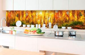 Samolepící tapety za kuchyňskou linku, rozměr 350 cm x 60 cm, slunný les, DIMEX KI-350-084