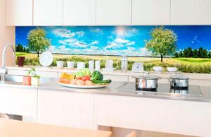 Samolepící tapety za kuchyňskou linku, rozměr 350 cm x 60 cm, rozkvetlý strom, DIMEX KI-350-085