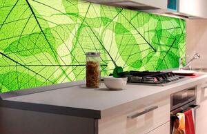 Samolepící tapety za kuchyňskou linku, rozměr 180 cm x 60 cm, listové žíly, DIMEX KI-180-048