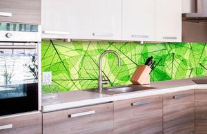 Samolepící tapety za kuchyňskou linku, rozměr 260 cm x 60 cm, listové žíly, DIMEX KI-260-048