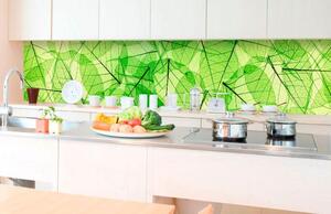 Samolepící tapety za kuchyňskou linku, rozměr 350 cm x 60 cm, listové žíly, DIMEX KI-350-048
