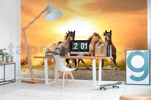 Vliesové fototapety, rozměr 375 cm x 250 cm, koně při západu slunce, DIMEX MS-5-0227