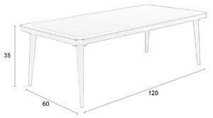 White Label Dubový konferenční stolek WLL HARU 120 x 60 cm se skleněnou deskou