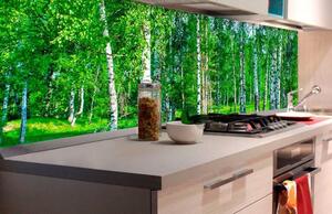 Samolepící tapety za kuchyňskou linku, rozměr 180 cm x 60 cm, březový les, DIMEX KI-180-044