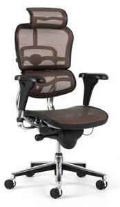 Sirius kancelářská židle s podhlavníkem (Síťovina + unikátní ergonomie)