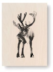 Obrázek na dřevěné kartě Reindeer 10x15 cm Teemu Järvi Illustrations