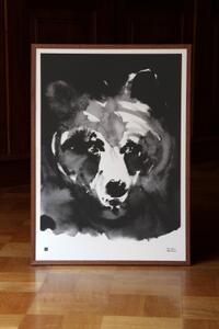 Plakát Mysterious Bear velký 50x70 cm Teemu Järvi Illustrations
