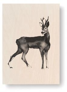 Obrázek na dřevěné kartě Roe Deer 10x15 cm Teemu Järvi Illustrations