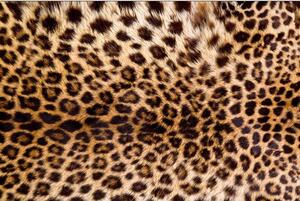 Vliesové fototapety, rozměr 375 cm x 250 cm, leopardí kůže, DIMEX MS-5-0184