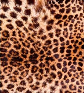 Vliesové fototapety, rozměr 225 cm x 250 cm, leopardí kůže, DIMEX MS-3-0184