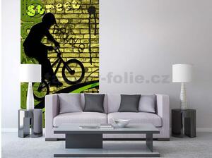 Vliesové fototapety, rozměr 150 cm x 250 cm, bicycle green, DIMEX MS-2-0328