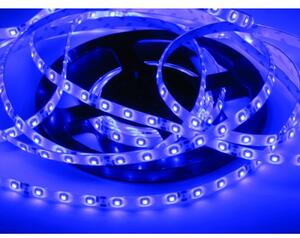 ECOLIGHT LED pásek - SMD 2835 - 5m - 60LED/m - 4,8W/m - IP65 - modrý