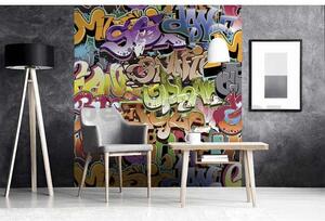 Vliesové fototapety, rozměr 225 cm x 250 cm, graffiti, DIMEX MS-3-0322