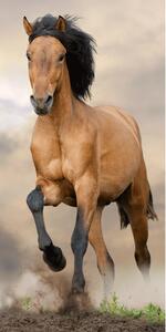 Osuška 70x140 - Kůň