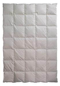CELOROČNÍ PŘIKRÝVKA, 135/200 cm, prachové peří Centa-Star - Přikrývky, Online Only