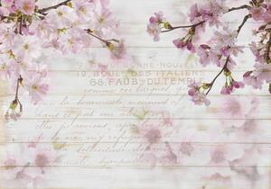 Vliesové fototapety 12064 V8, rozměr 368 cm x 254 cm, květy sakury na dřevě, IMPOL TRADE