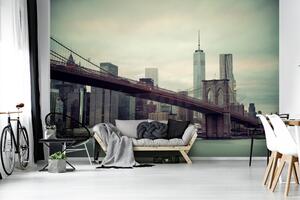 Vliesové fototapety 11846 V8, rozměr 368 cm x 254 cm, New York a Brooklynský most, IMPOL TRADE