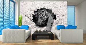 Vliesové fototapety 10400 V8, rozměr 368 cm x 254 cm, bílý tygr a 3D zeď, IMPOL TRADE