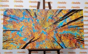 Obraz podzimní koruny stromů - 100x50 cm