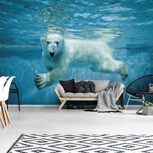 Vliesové fototapety 12621 V8, rozměr 368 cm x 254 cm, lední medvěd ve vodě, IMPOL TRADE