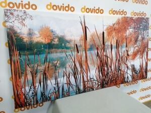 Obraz řeka uprostřed podzimní přírody - 100x50 cm