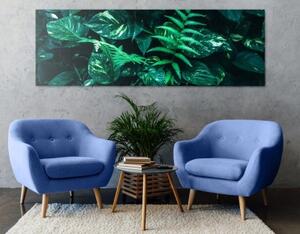 Obraz svěží tropické listy - 120x40 cm
