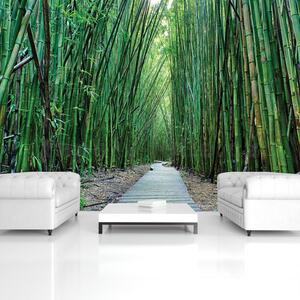 Vliesové fototapety 12632 V8, rozměr 368 cm x 254 cm, bambus Vietnam, IMPOL TRADE