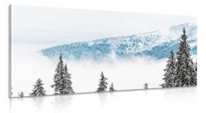 Obraz zasněžené borovicové stromy - 120x60 cm