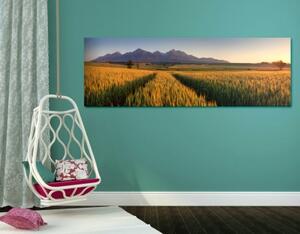 Obraz západ slunce nad pšeničným polem - 120x40 cm